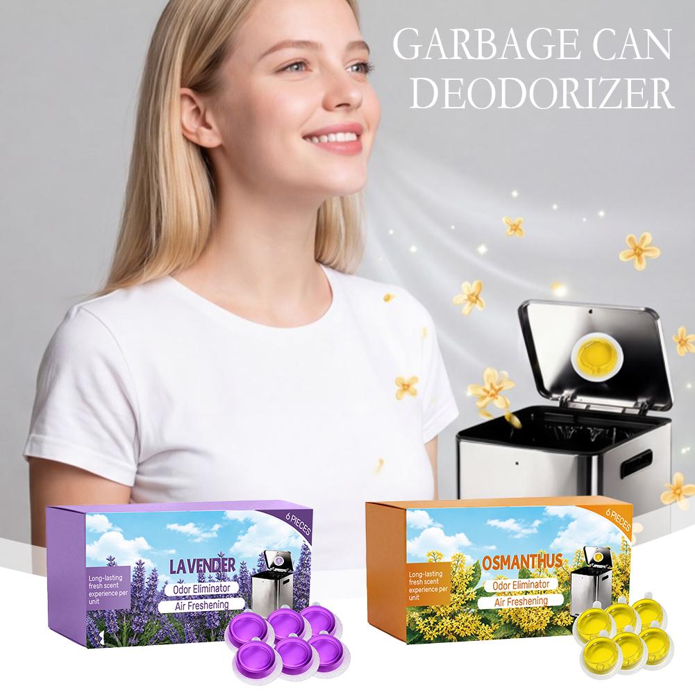 6 Confezioni di Deodorante per - Home Fragrance Lavender recensione e prezzo